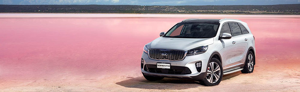 The 2019 Kia Sorento