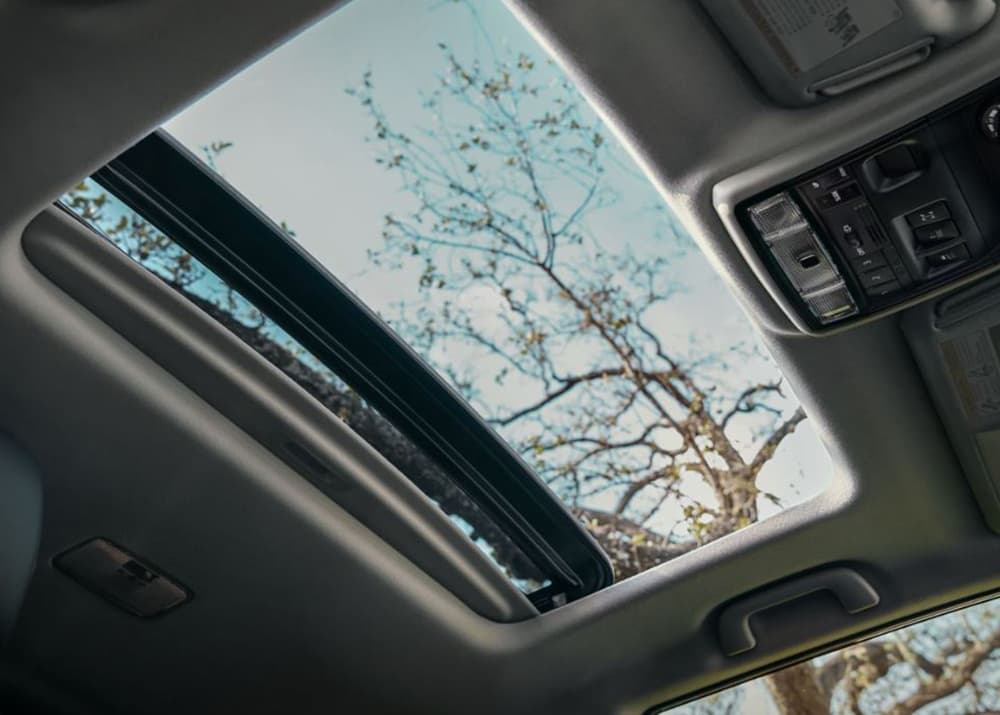 Interior Amenities