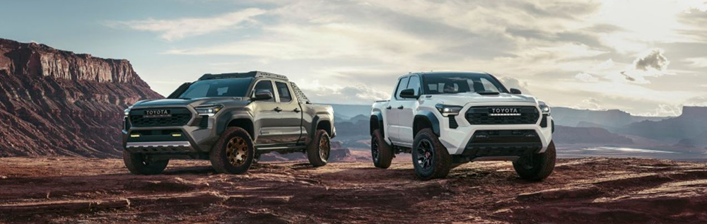 The 2024 Toyota Tacoma