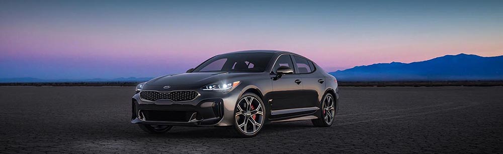 The 2019 Kia Stinger