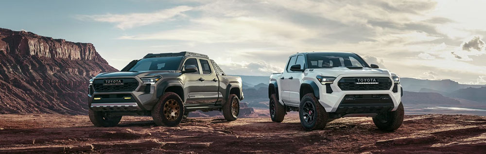 The 2024 Toyota Tacoma Hybrid
