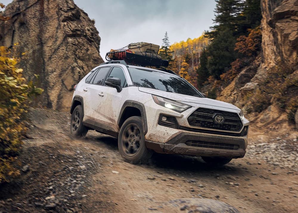 2024 Toyota RAV4