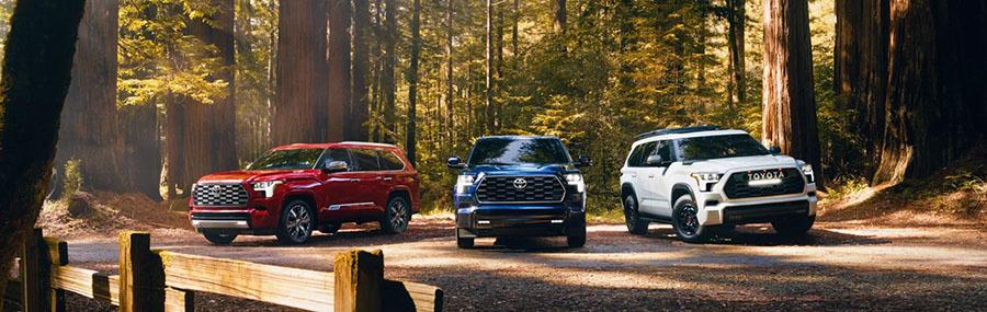 The 2025 Toyota Sequoia