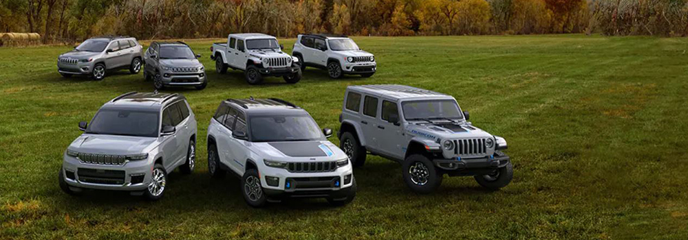 Jeep Models on Grass
