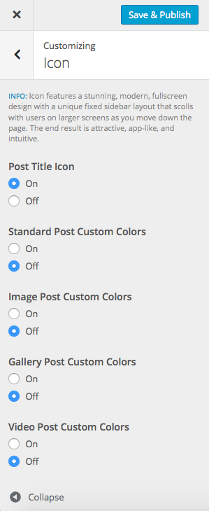 Icon specific options