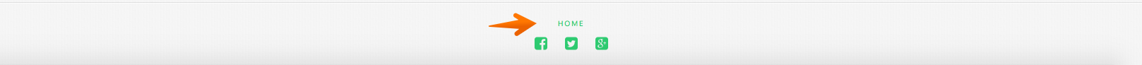 Footer Menu displayed