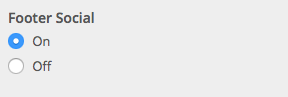 Footer social icons
