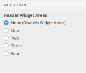 Header Widgets