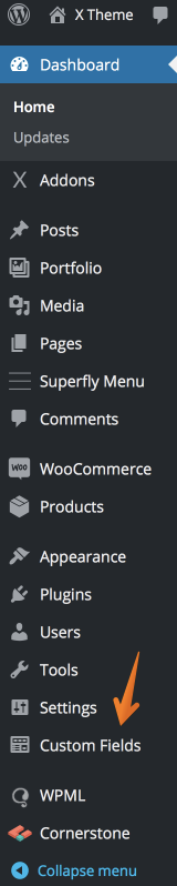 ACF Pro Menu item