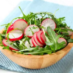 Grüner salat mit roten zwiebeln und radieschen