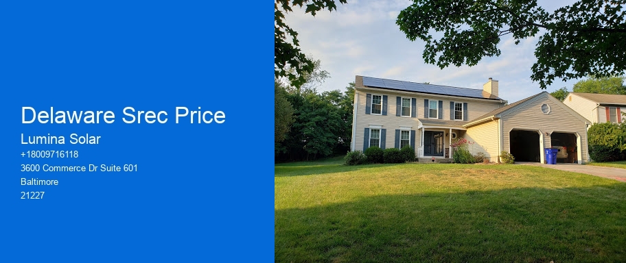 Delaware Srec Price