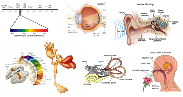 conscious-antedation