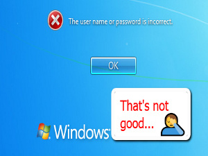 Reset Windows Password
