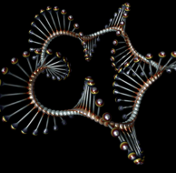 Journal of Bioinformatics