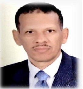 S M Abo-Dahab