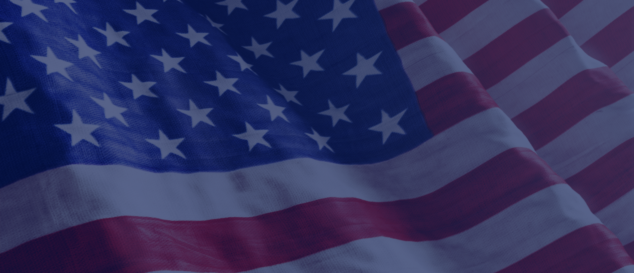 Protection for flag desecrators