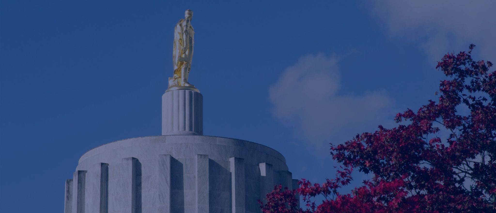 ACU Foundation Releases Scores of Oregon Legislative Assembly