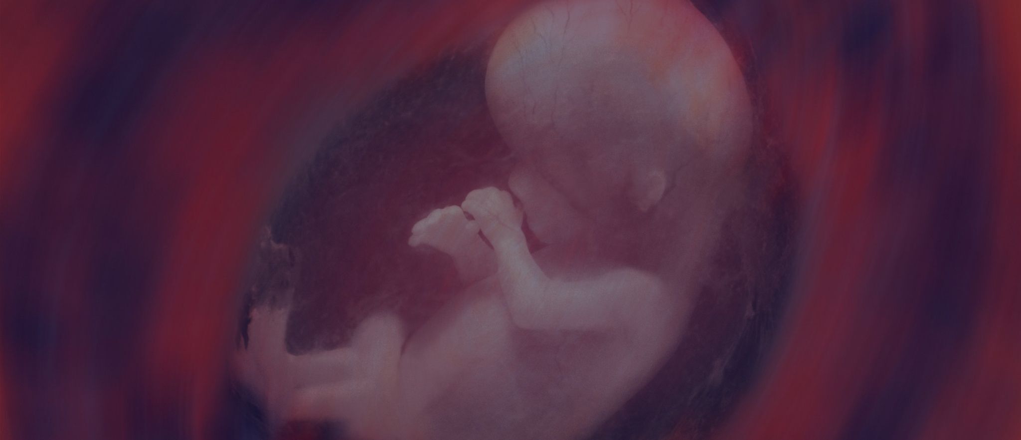 From Protector to Persecutor