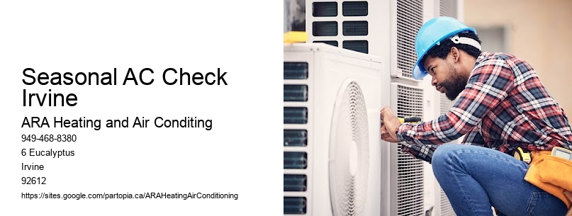Seasonal AC Check Irvine