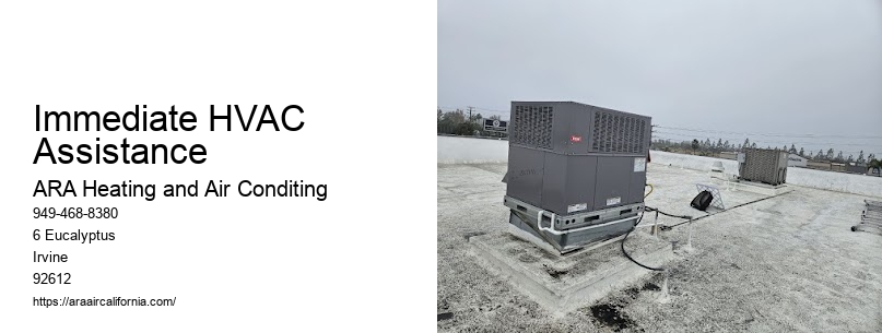 Immediate HVAC Assistance