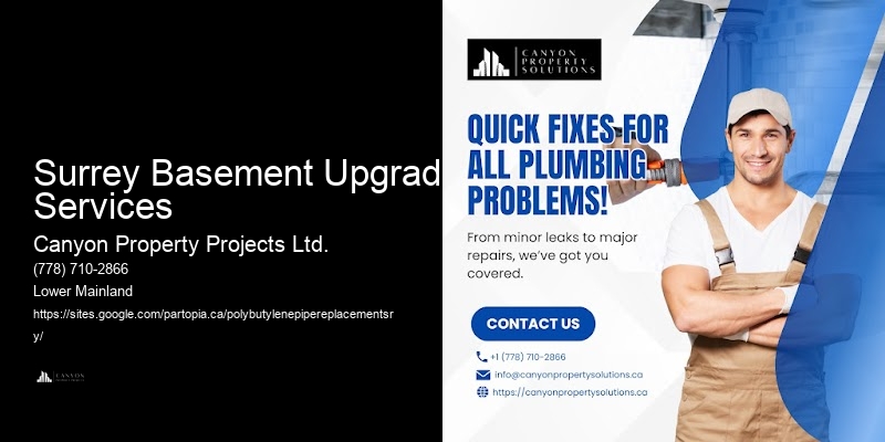 Surrey Basement Upgrade Services