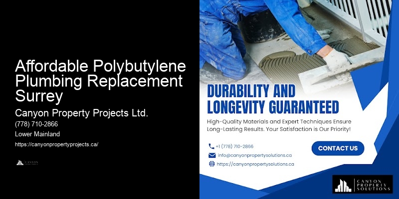 Polybutylene Pipe Preventive Maintenance Affordable Polybutylene Plumbing Replacement Surrey