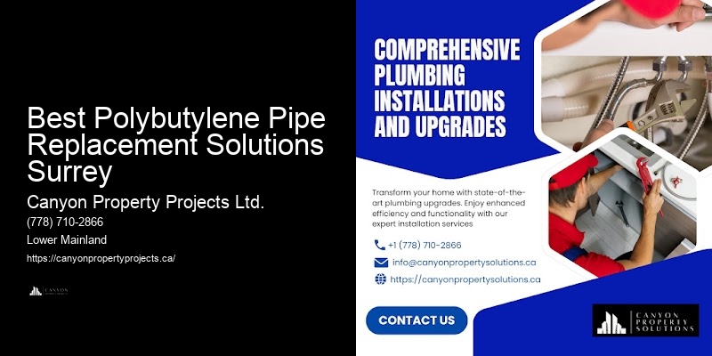 Polybutylene Pipe Replacement and Repair Services in My Area