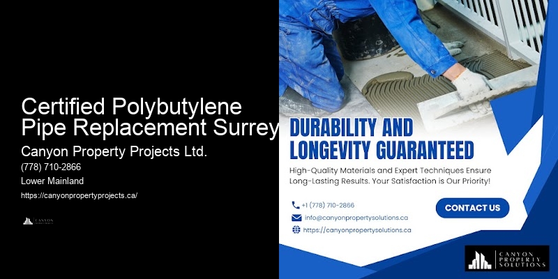 Best Polybutylene Pipe Replacement Practices Certified Polybutylene Pipe Replacement Surrey