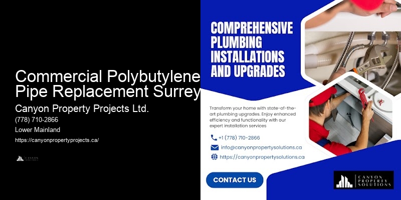 Reliable Polybutylene Pipe Replacement Commercial Polybutylene Pipe Replacement Surrey