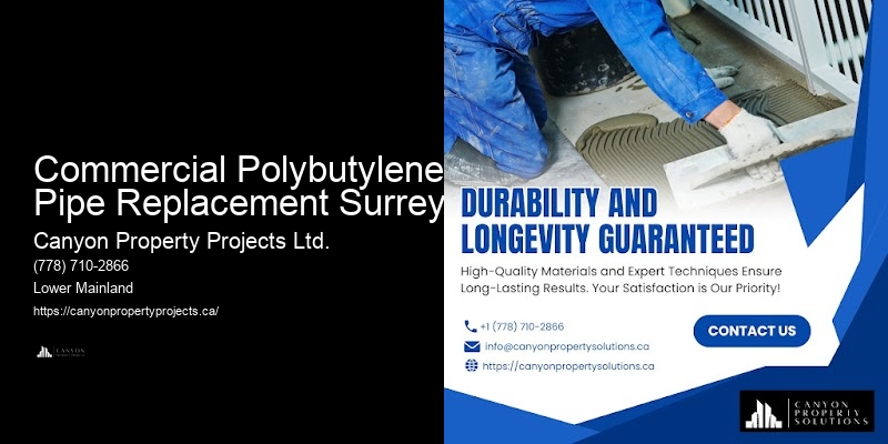 Polybutylene Pipe Replacement Warranties Commercial Polybutylene Pipe Replacement Surrey
