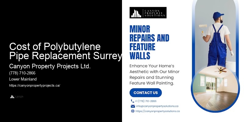 Polybutylene Pipe Leak Detection Cost of Polybutylene Pipe Replacement Surrey