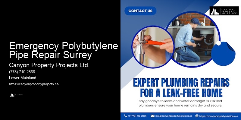 Polybutylene Pipe Warranty Emergency Polybutylene Pipe Repair Surrey