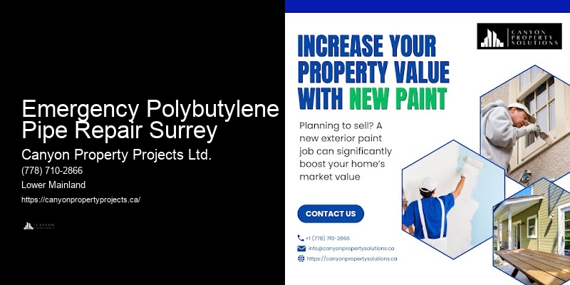 Best Polybutylene Pipe Replacement Solutions Emergency Polybutylene Pipe Repair Surrey