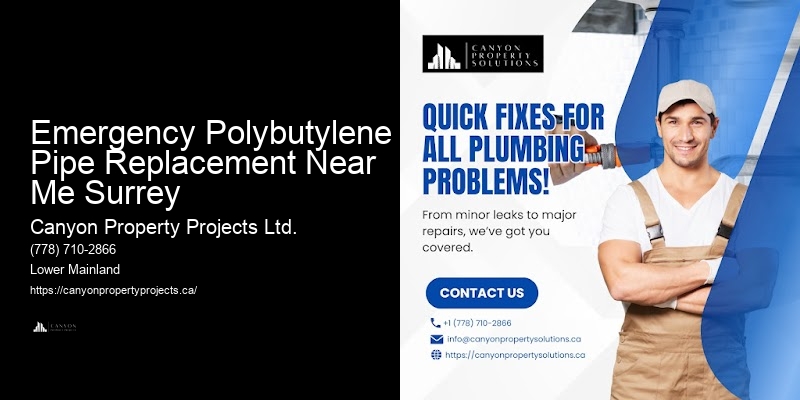 Comprehensive Polybutylene Pipe Replacement Emergency Polybutylene Pipe Replacement Near Me Surrey