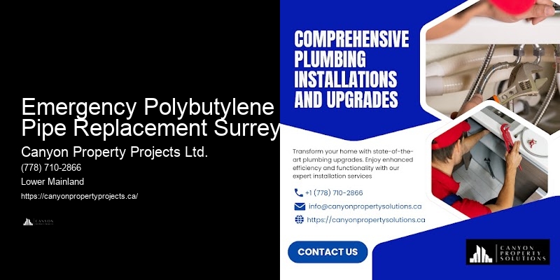 Emergency Polybutylene Pipe Replacement Surrey Polybutylene Pipe Replacement Quotes