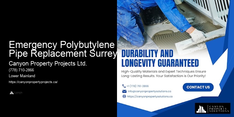 Polybutylene Pipe Replacement Services Near Me Emergency Polybutylene Pipe Replacement Surrey