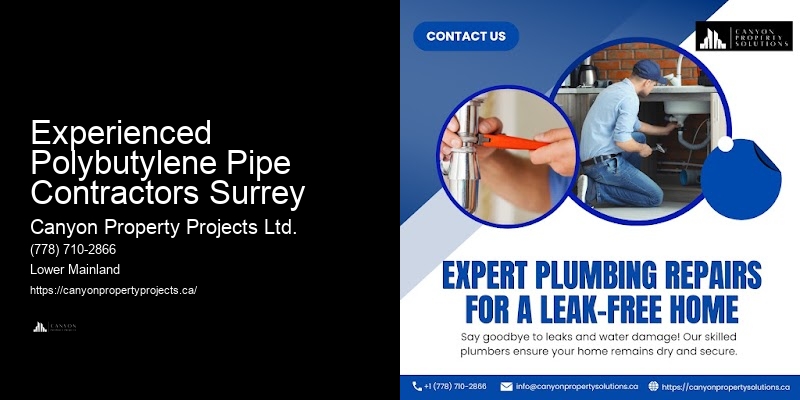 Polybutylene Plumbing Upgrade Experienced Polybutylene Pipe Contractors Surrey