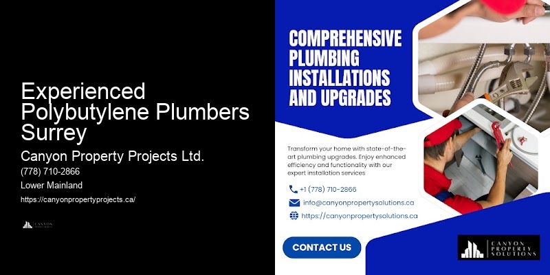 Best Price Polybutylene Pipe Replacement Experienced Polybutylene Plumbers Surrey