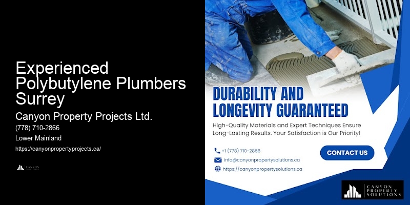 Local Experts for Polybutylene Pipes Experienced Polybutylene Plumbers Surrey