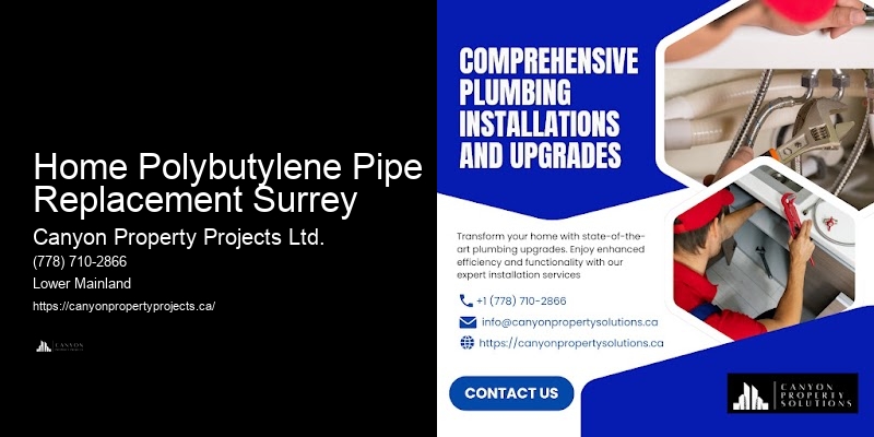 Polybutylene Pipe Leak Repair Home Polybutylene Pipe Replacement Surrey
