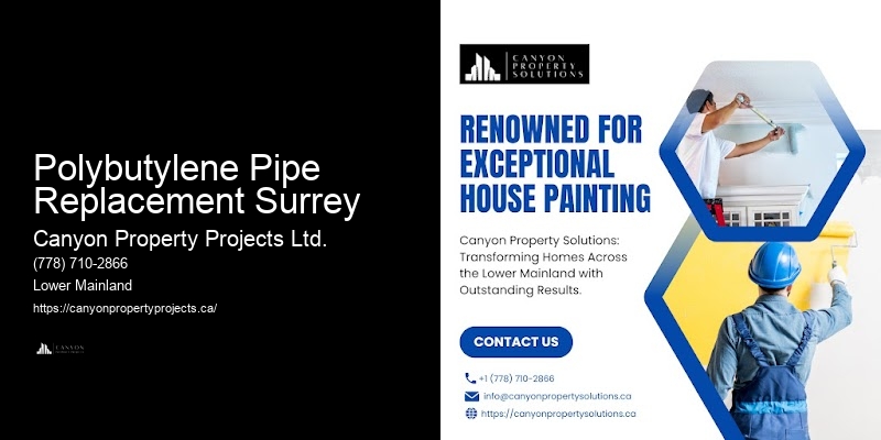 Best Polybutylene Pipe Replacement Practices Polybutylene Pipe Replacement Surrey