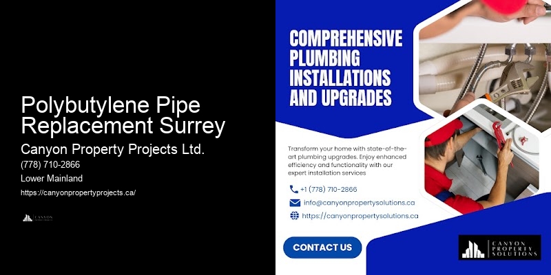 Best Polybutylene Plumbing Replacement Near Me Polybutylene Pipe Replacement Surrey