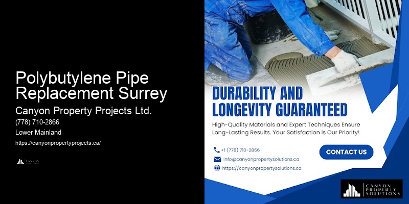 Residential Polybutylene Pipe Upgrades Polybutylene Pipe Replacement Surrey