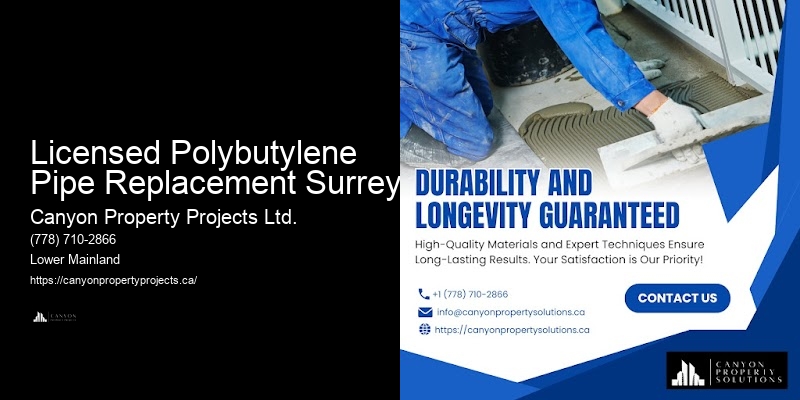 Polybutylene Pipe Fitting Services Licensed Polybutylene Pipe Replacement Surrey