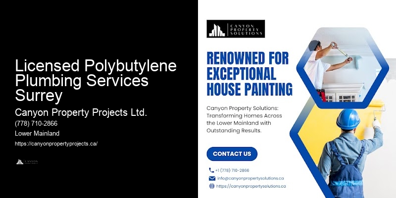 Comprehensive Polybutylene Pipe Services Licensed Polybutylene Plumbing Services Surrey