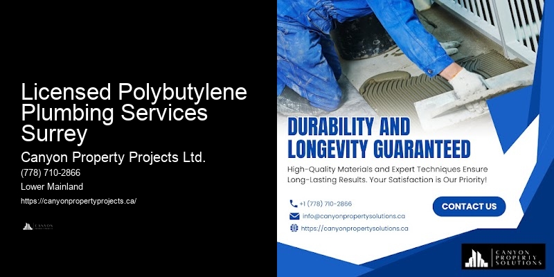 Modern Solutions for Polybutylene Plumbing Licensed Polybutylene Plumbing Services Surrey