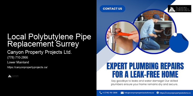 Polybutylene Pipe Replacement Options Local Polybutylene Pipe Replacement Surrey