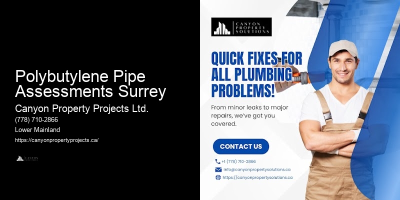 Polybutylene Pipe Assessments Surrey
