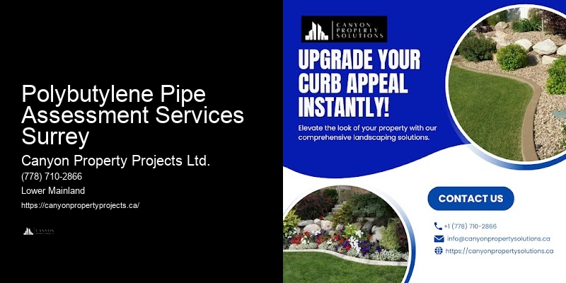Detailed Polybutylene Pipe Replacement Polybutylene Pipe Assessment Services Surrey