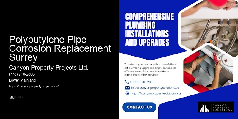 Polybutylene Pipe Warranty Services Polybutylene Pipe Corrosion Replacement Surrey